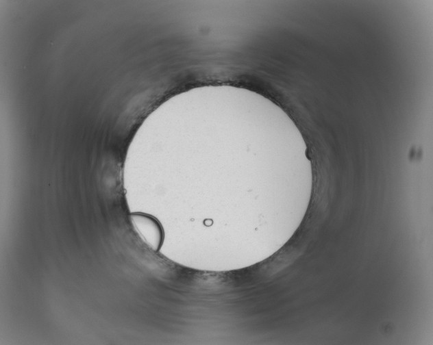 X0000111250624200907231554