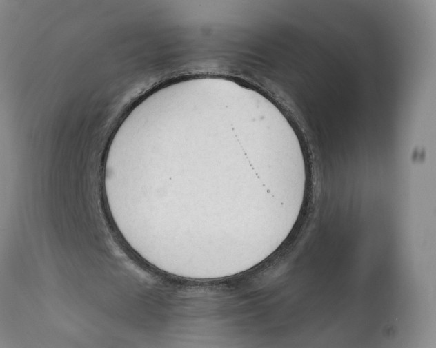 X0000111250625200907231554