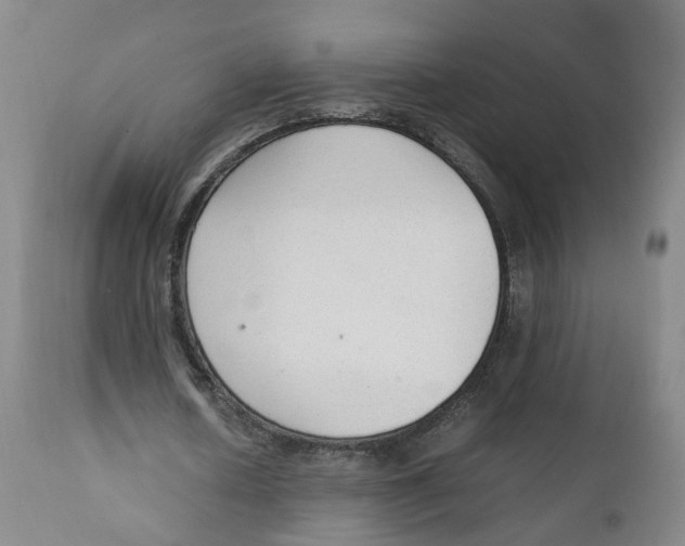 X0000111250626200907231554