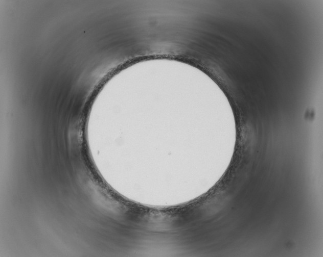 X0000111250632200907231554