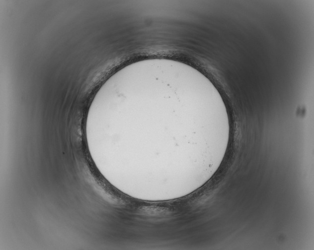 X0000111250633200907231554