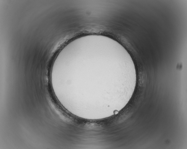 X0000111250634200907231554