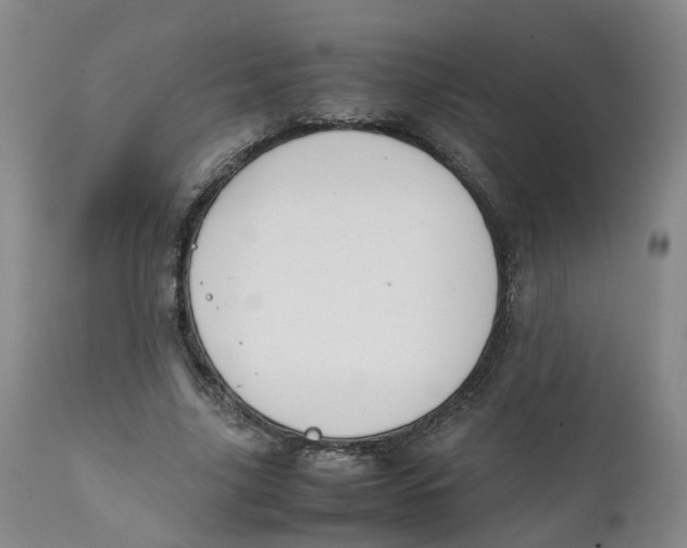 X0000111250635200907231554