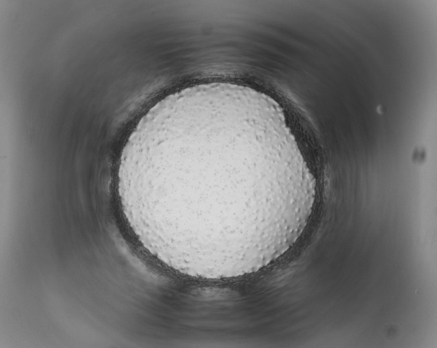 X0000111250637200907231554