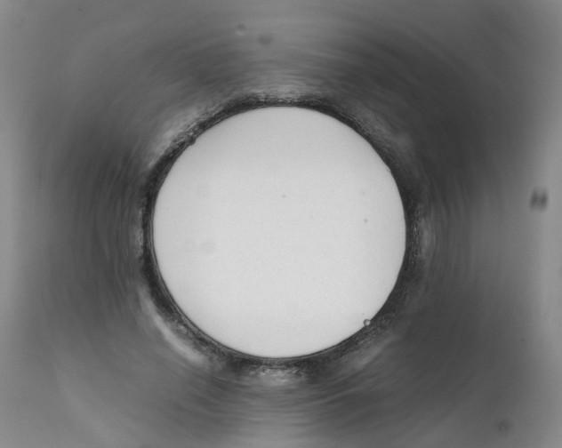 X0000111250638200907231554