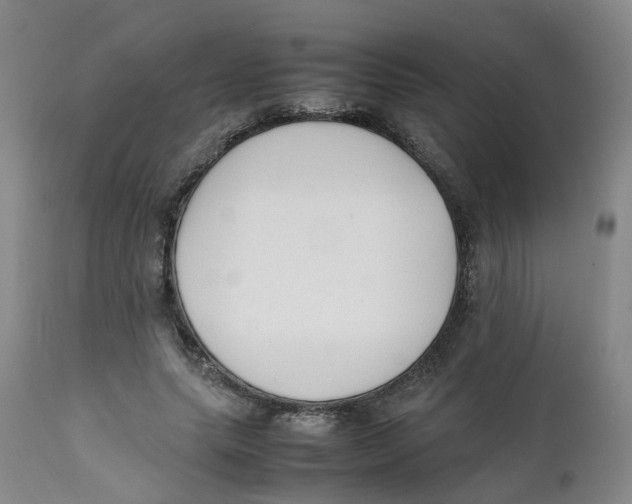 X0000111250639200907231554