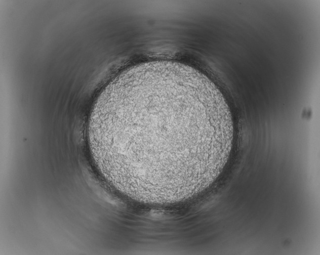 X0000111250641200907231554