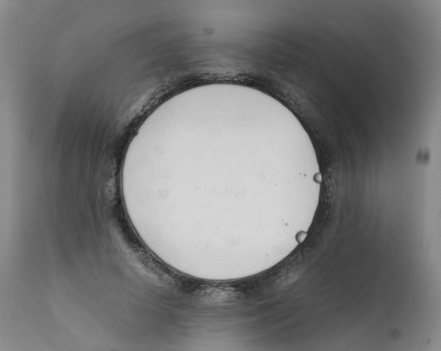 X0000111250642200907231554