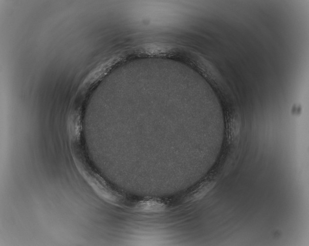 X0000111250644200907231554