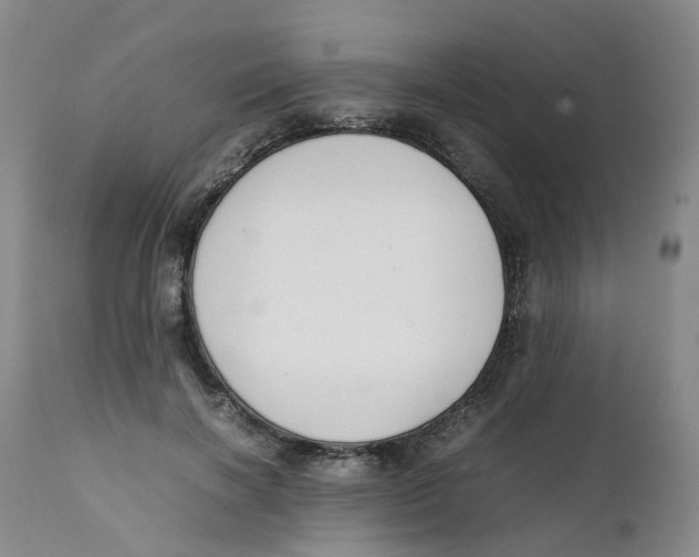 X0000111250646200907231554