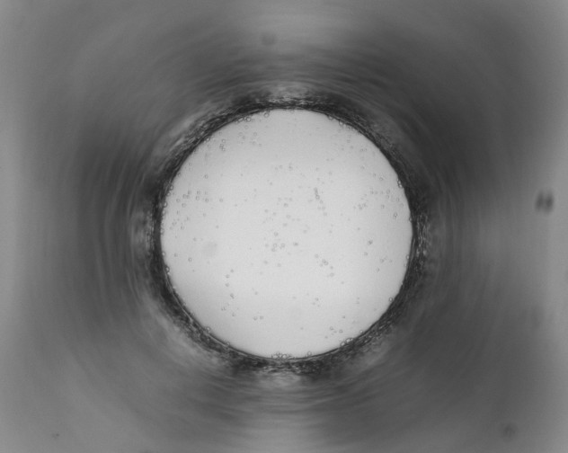 X0000111250648200907231554