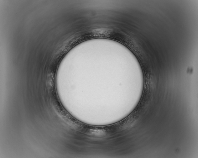 X0000111250649200907231554