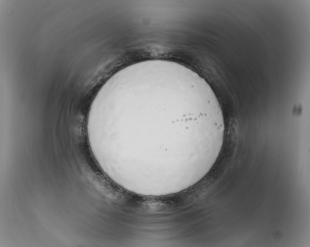 X0000111250650200907231554