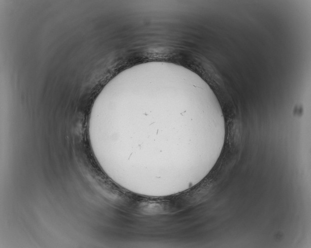 X0000111250655200907231554