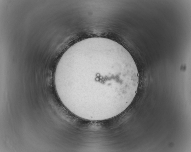 X0000111250656200907231554