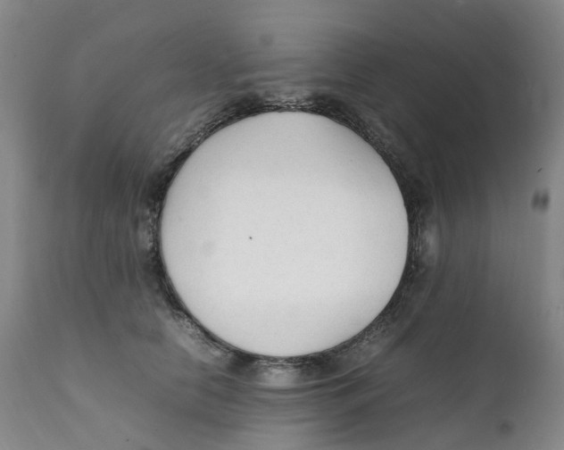 X0000111250658200907231554