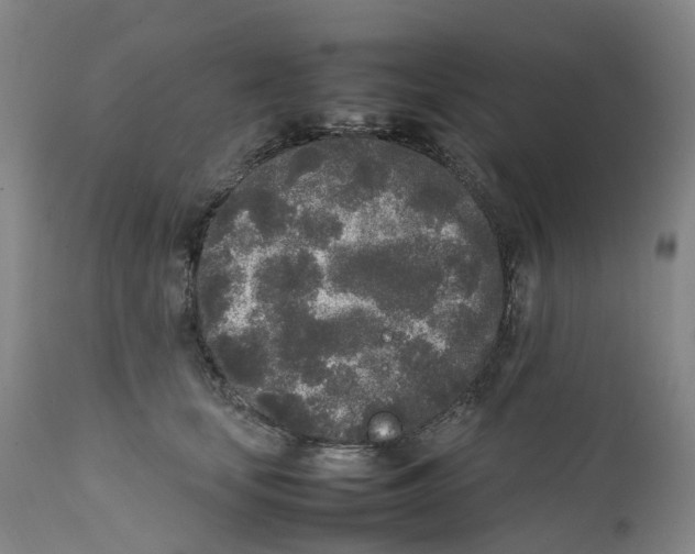 X0000111250659200907231554