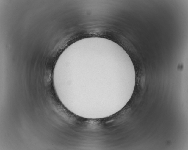 X0000111250660200907231554