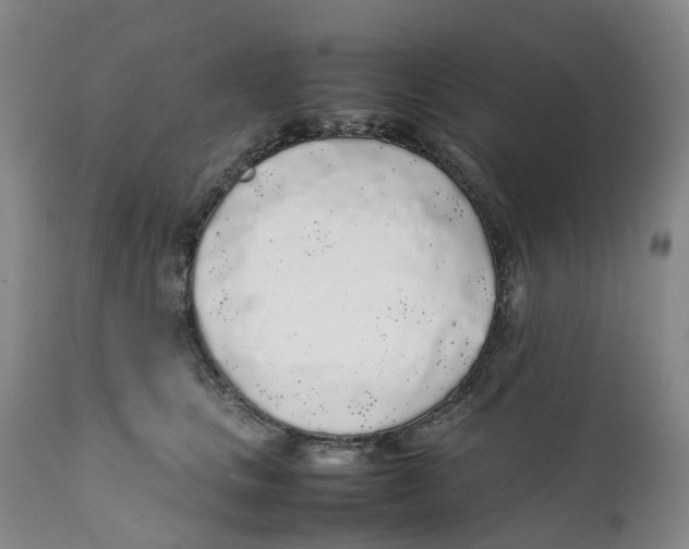 X0000111250661200907231554