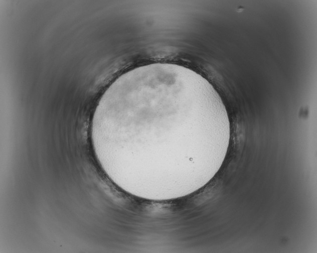 X0000111250664200907231554