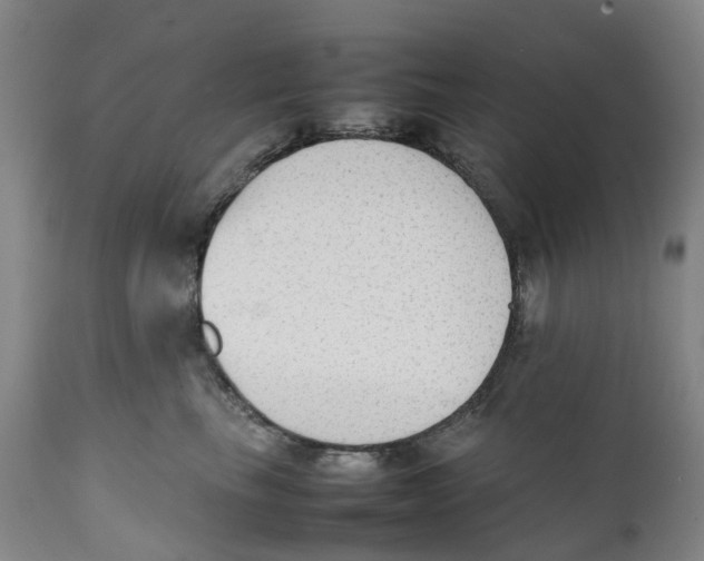 X0000111250665200907231554