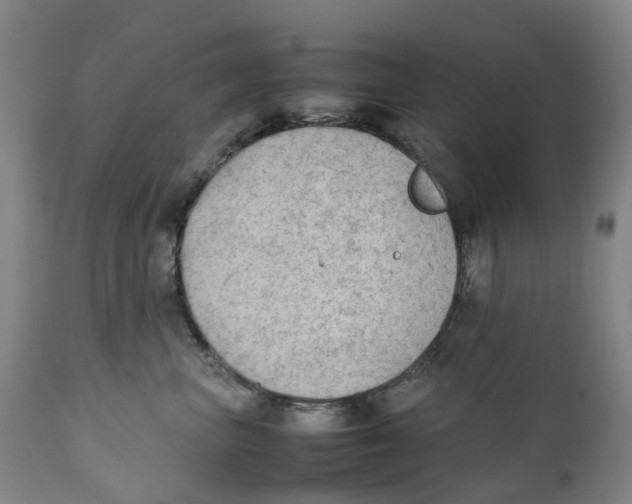 X0000111250667200907231554