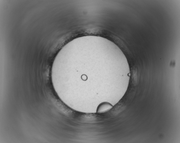 X0000111250668200907231554