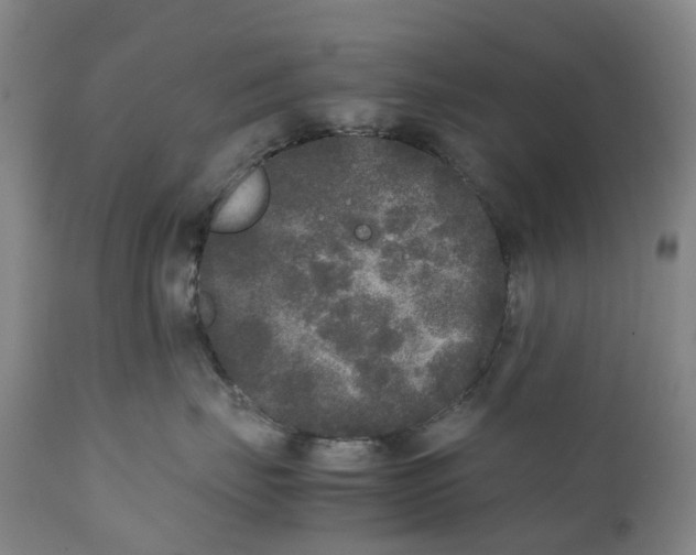 X0000111250671200907231554