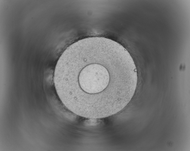 X0000111250672200907231554