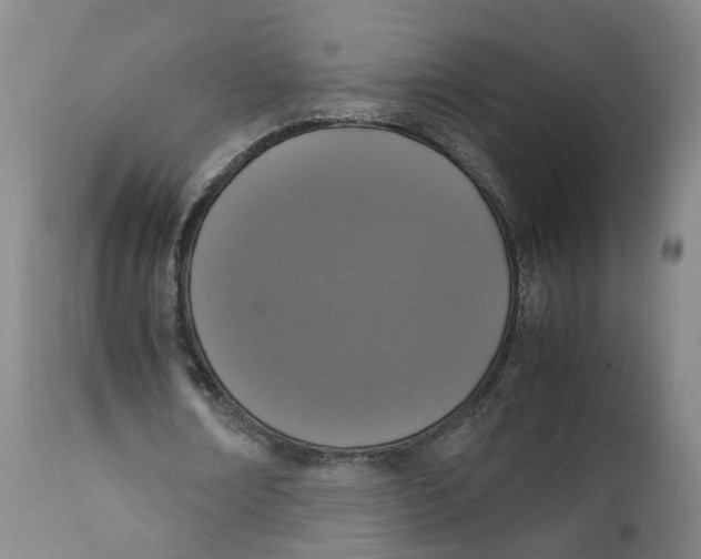 X0000111250674200907231553