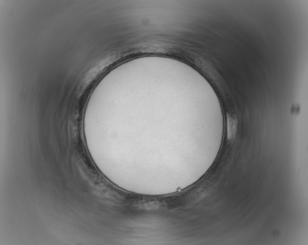 X0000111250675200907231553