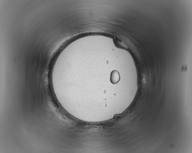 X0000111250676200907231553