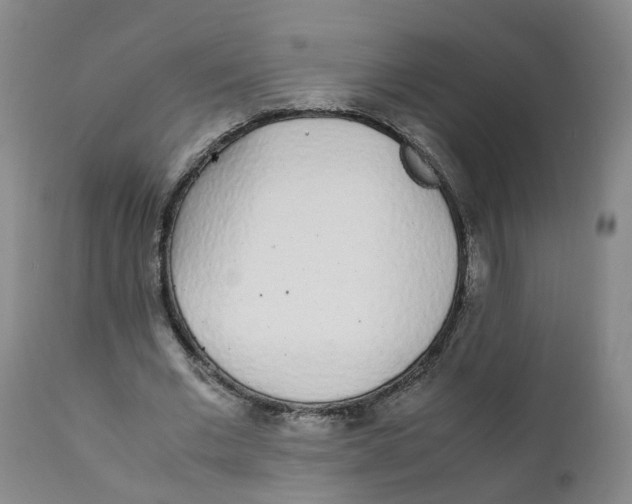 X0000111250677200907231553