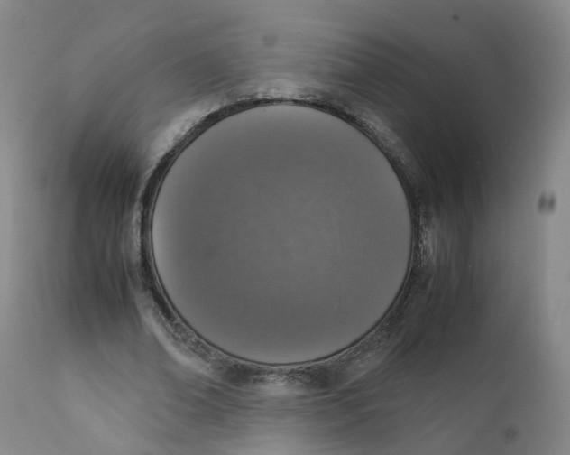 X0000111250678200907231553