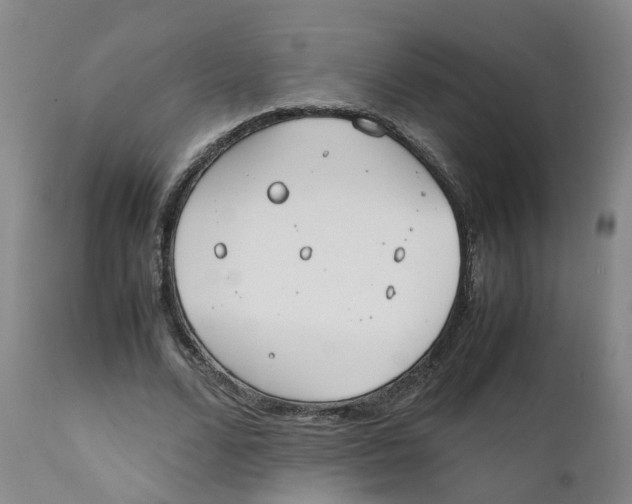 X0000111250680200907231553