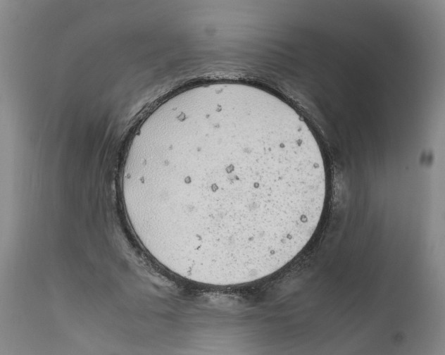 X0000111250681200907231553