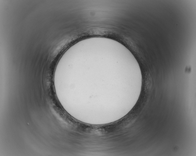 X0000111250683200907231553