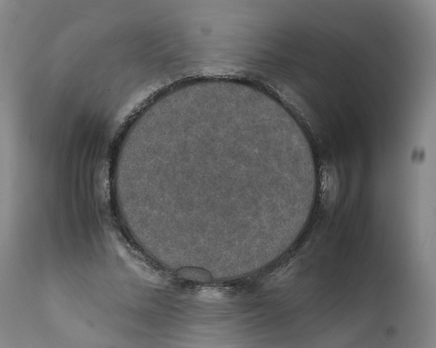 X0000111250684200907231553