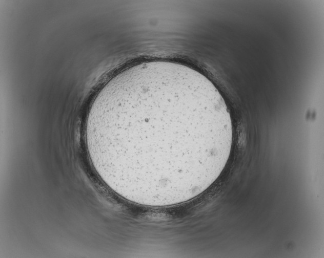 X0000111250685200907231553