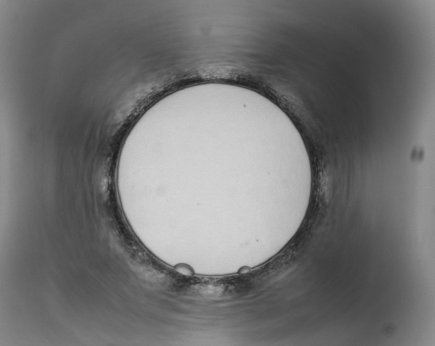 X0000111250687200907231553