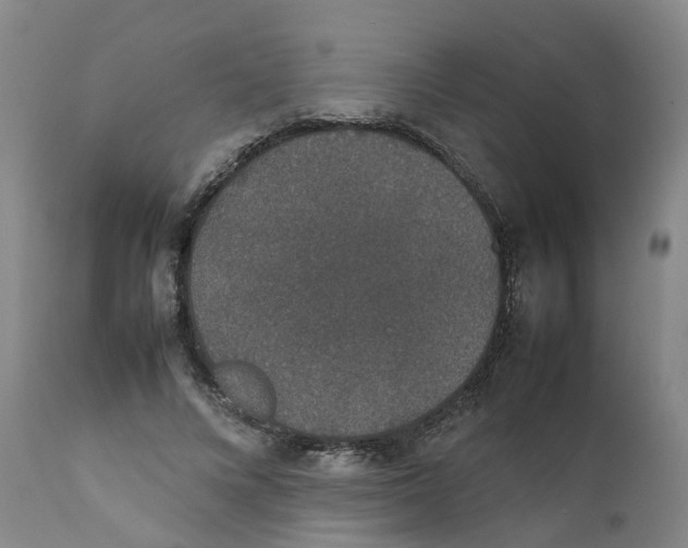 X0000111250688200907231553