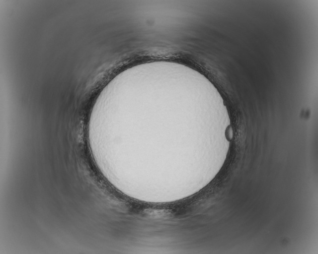 X0000111250689200907231553