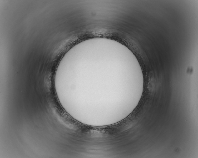 X0000111250690200907231553