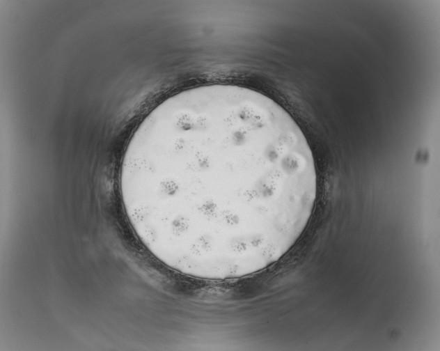 X0000111250691200907231553