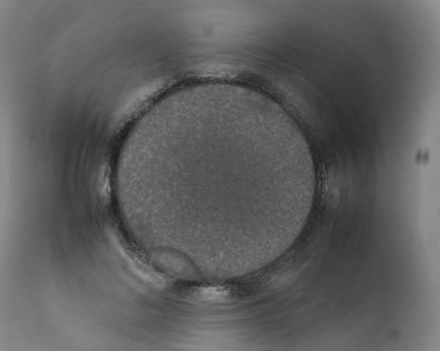 X0000111250692200907231553