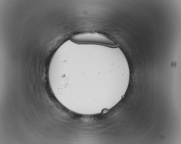 X0000111250693200907231553