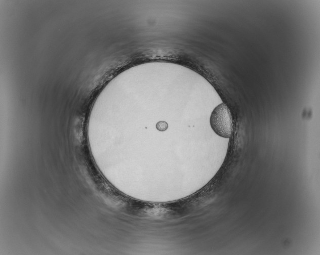 X0000111250695200907231553