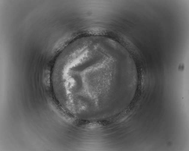 X0000111250696200907231553