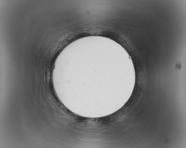 X0000111250697200907231553