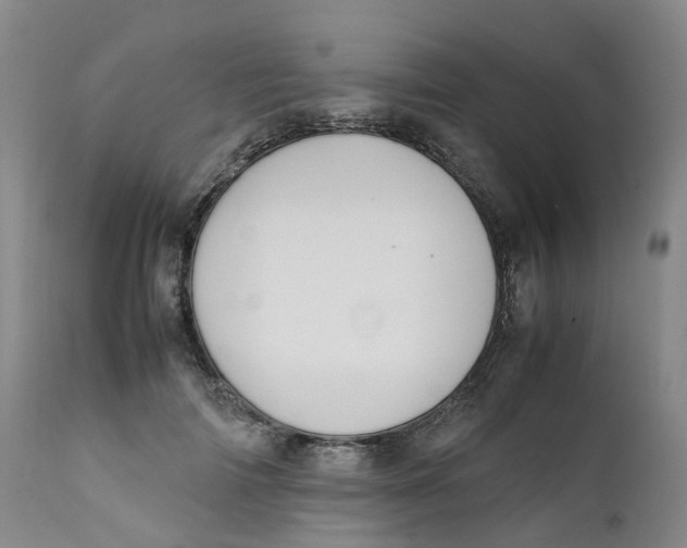 X0000111250698200907231553